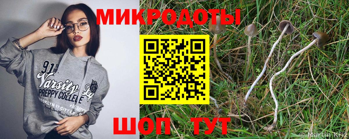 Камень-на-Оби  Псилоцибиновые грибы прущие грибы  Вход с VPN  Галлюциногенные грибы Cubensis 